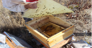 ekran-resmi-2016-12-09-19-05-00