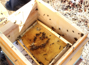 ekran-resmi-2016-12-09-19-05-18